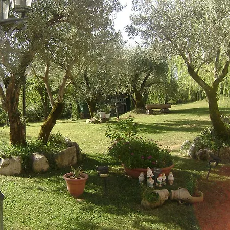 Bed & Breakfast The Wishing Well Gallinaro